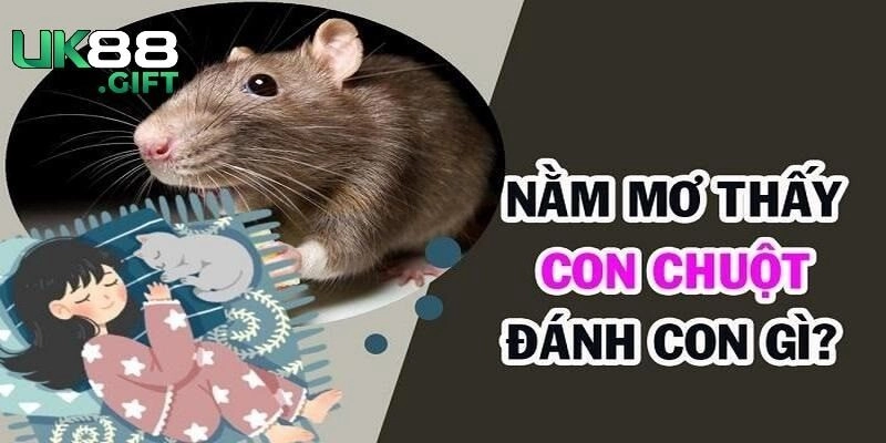 Một số lưu ý khác khi nằm mơ thấy chuột cắn Một số lưu ý khác khi nằm mơ thấy chuột cắn